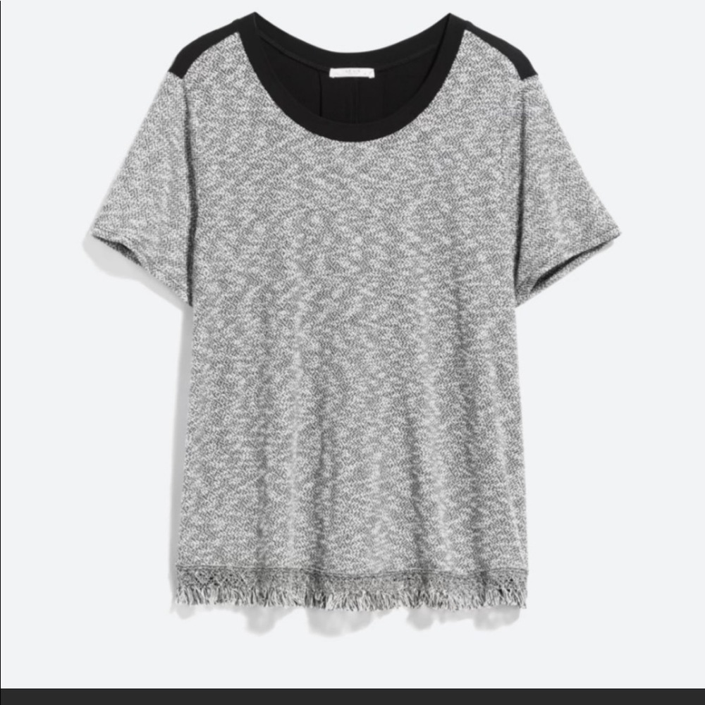 Le Lis Women’s Teria Fringe Knit Top